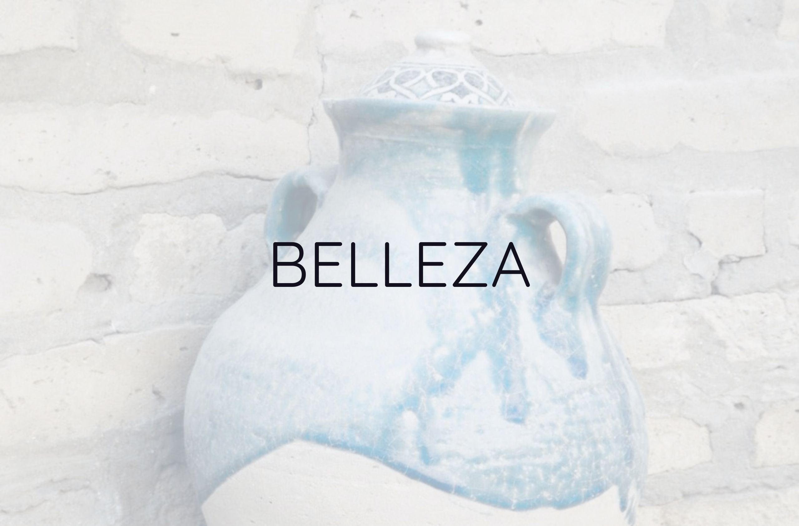 Morbi vitae purus dictum, ultrices tellus in, gravida lectus. 