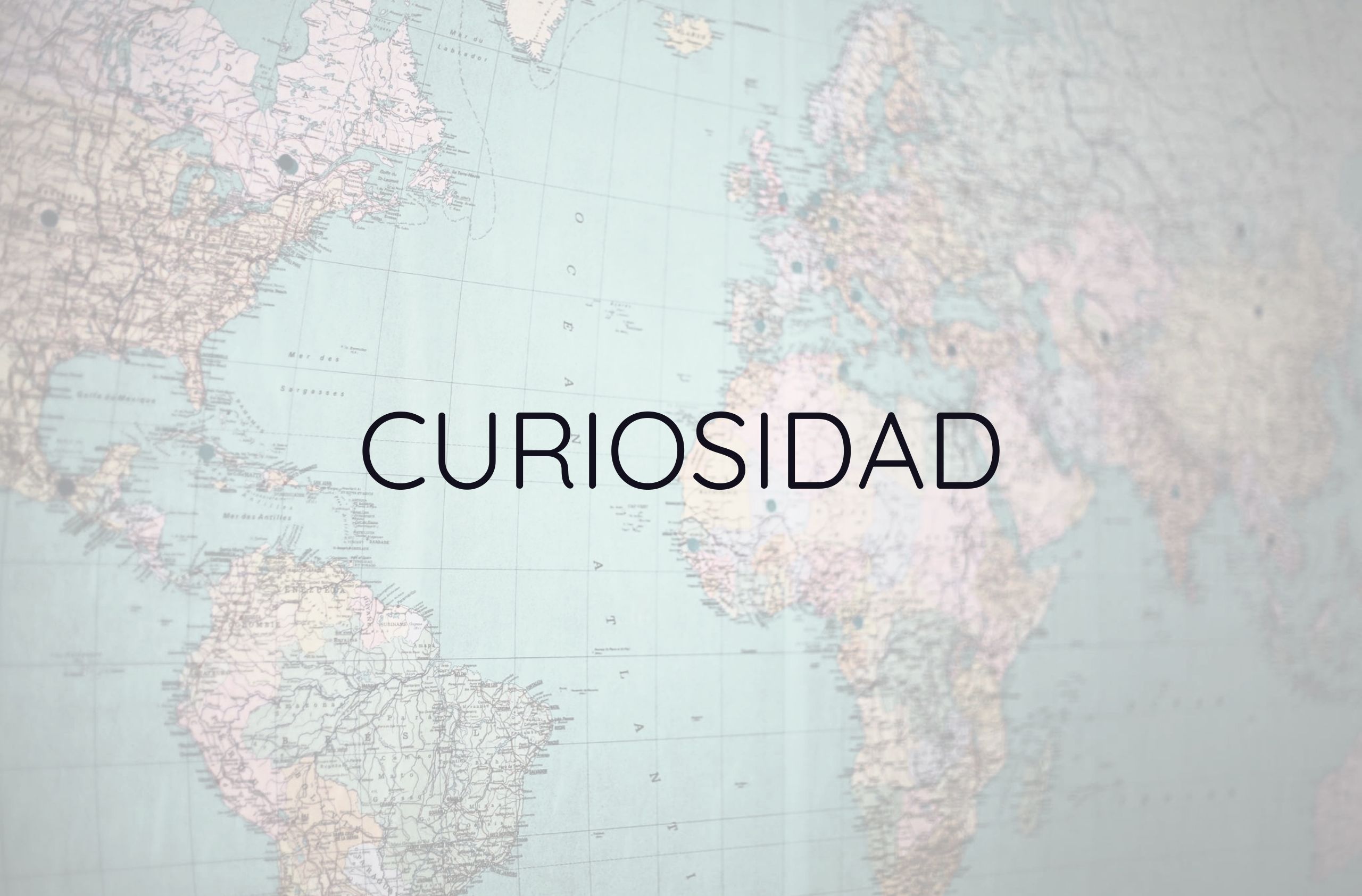 Morbi vitae purus dictum, ultrices tellus in, gravida lectus. 