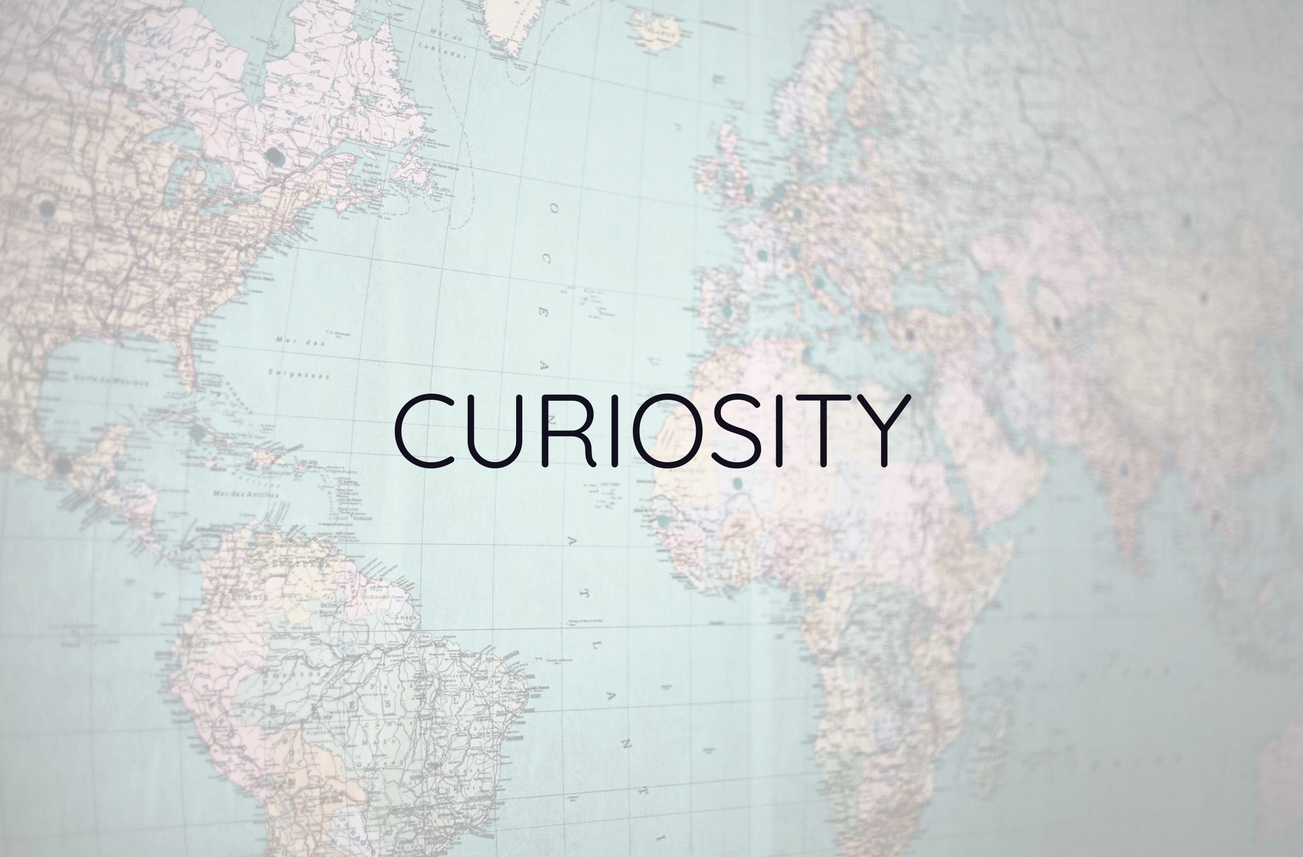 Morbi vitae purus dictum, ultrices tellus in, gravida lectus. 