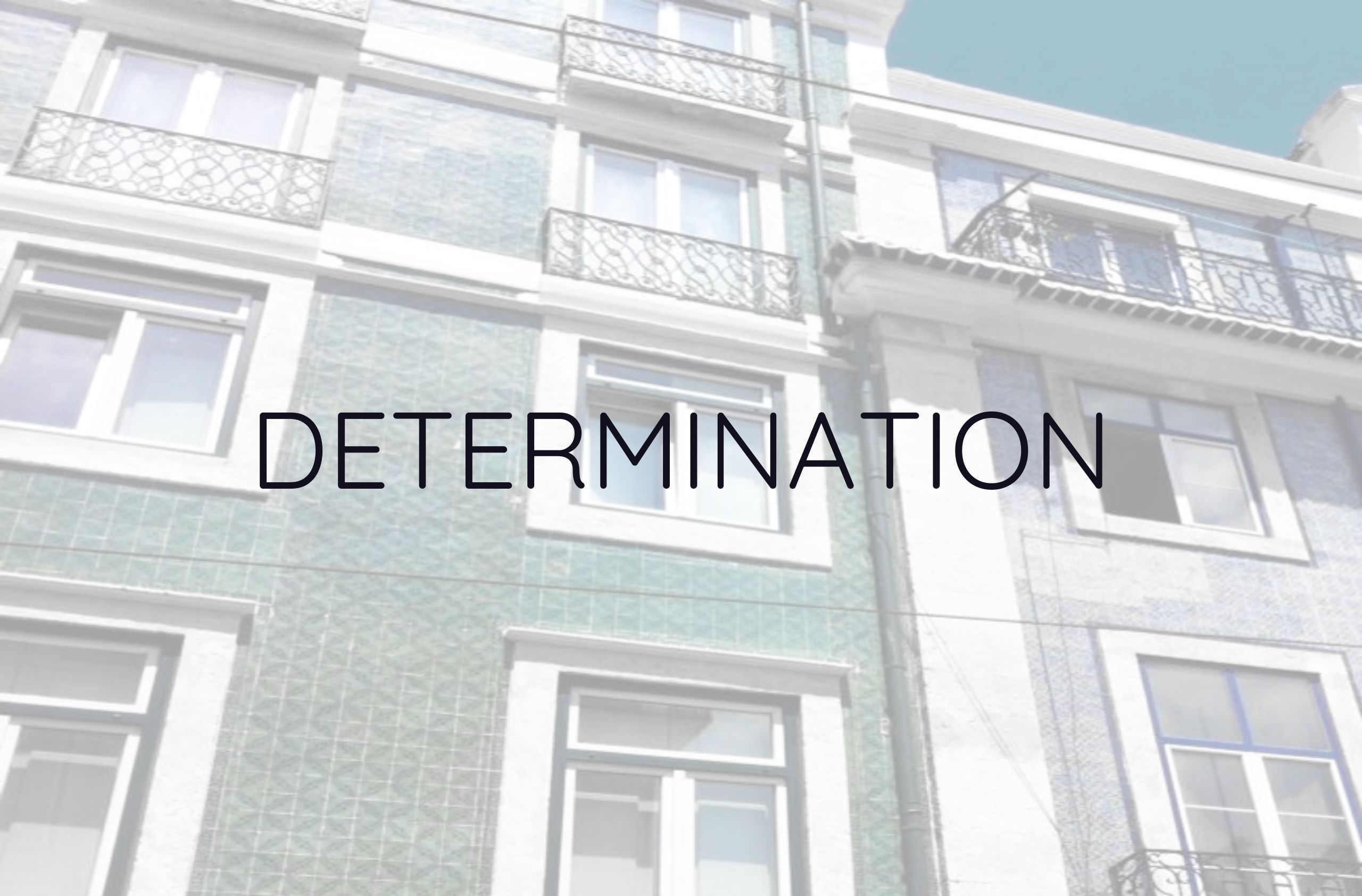 Morbi vitae purus dictum, ultrices tellus in, gravida lectus. 