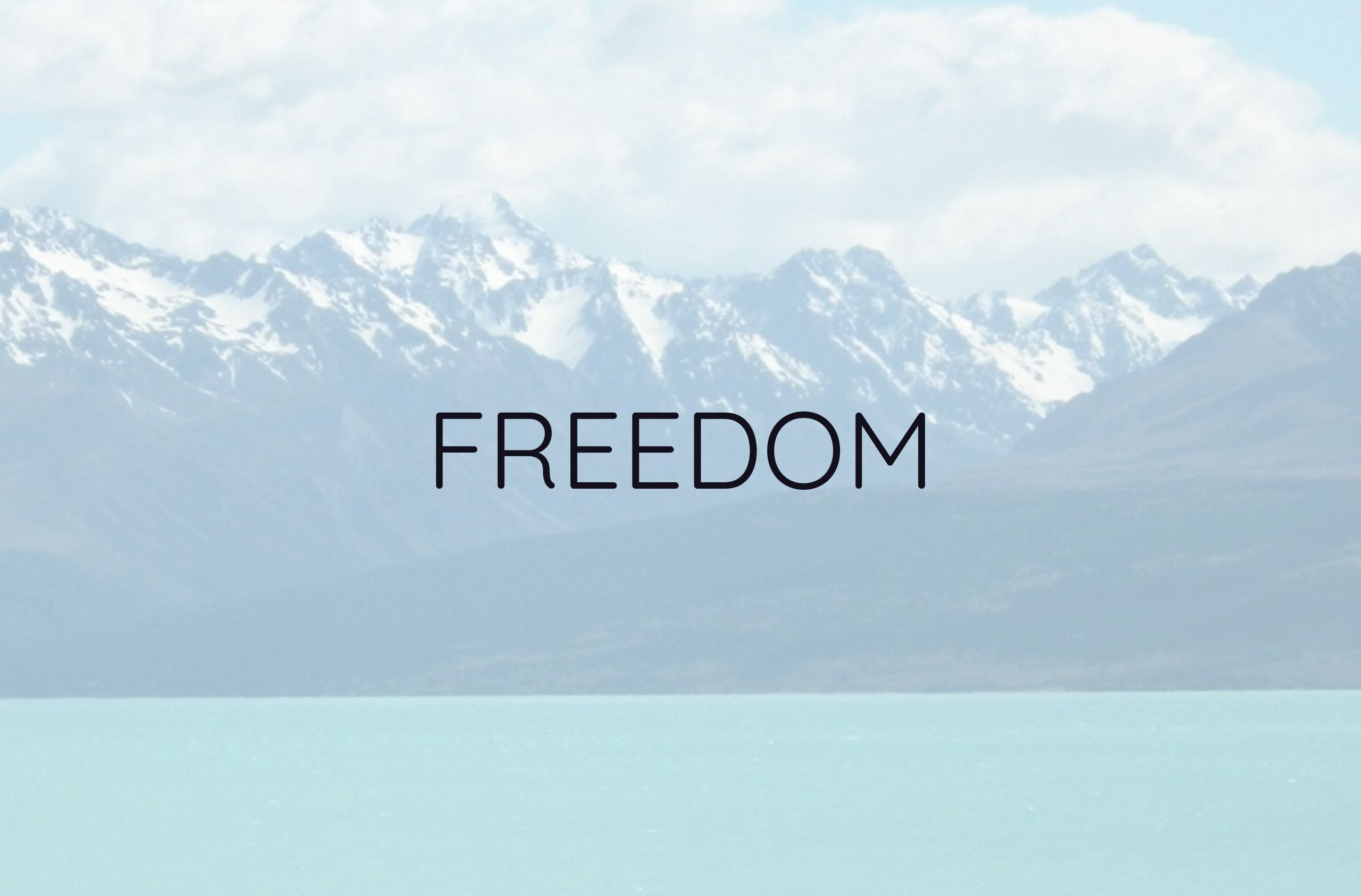 Morbi vitae purus dictum, ultrices tellus in, gravida lectus. 