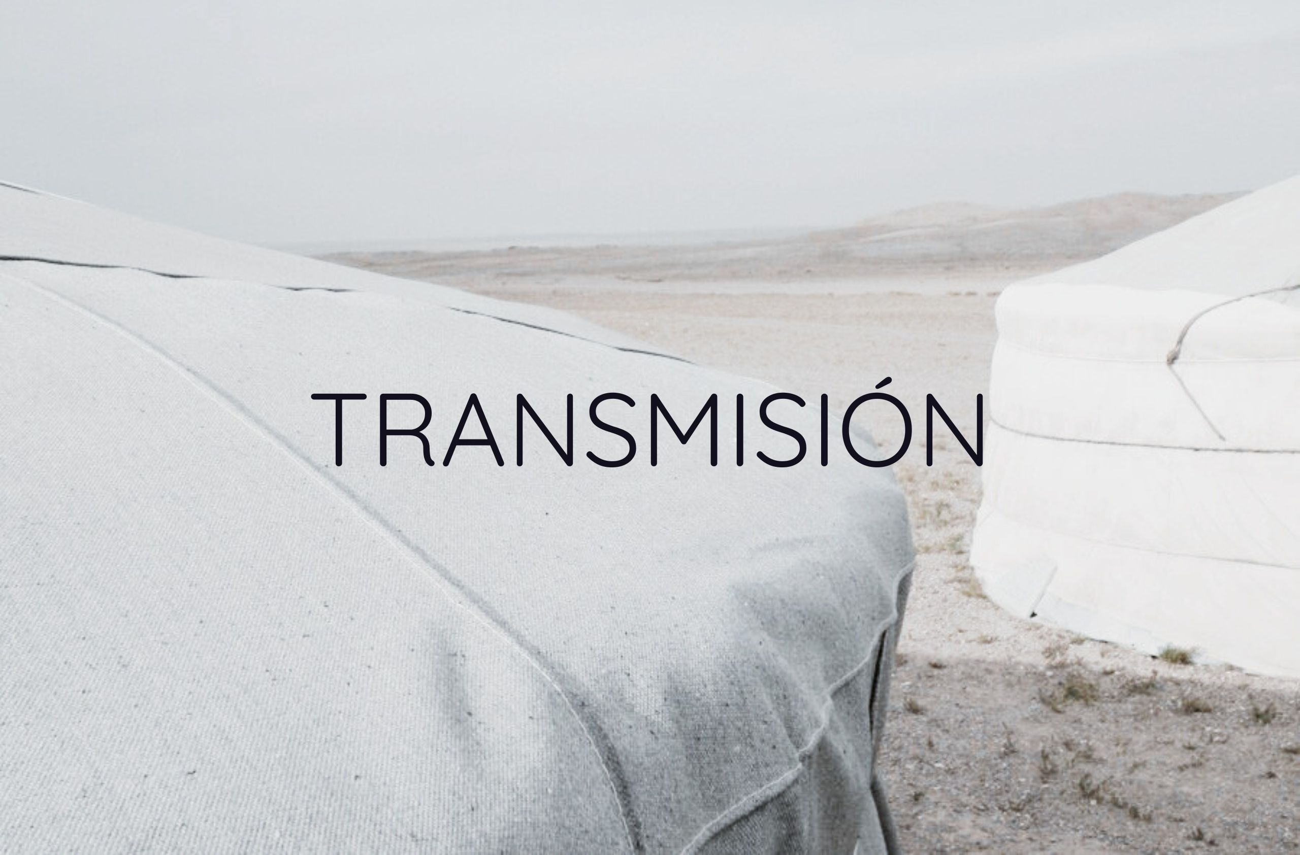 Morbi vitae purus dictum, ultrices tellus in, gravida lectus. 