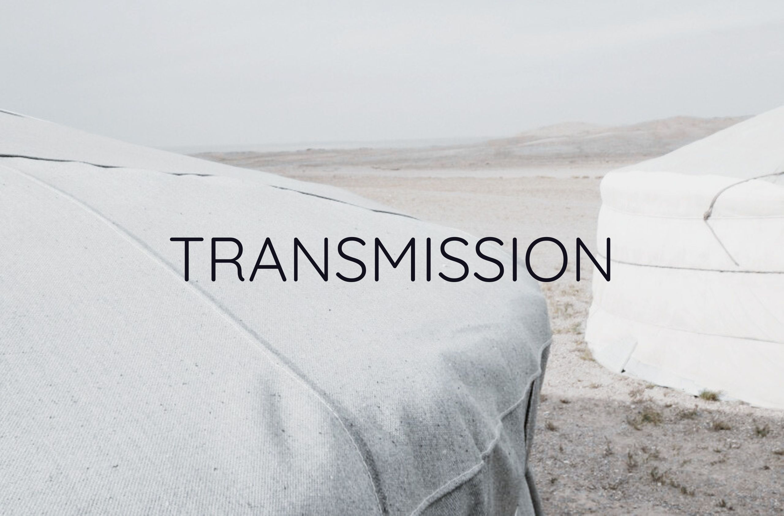 Morbi vitae purus dictum, ultrices tellus in, gravida lectus. 