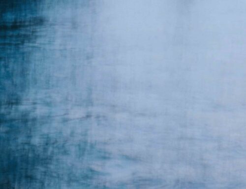 La conscience des mots