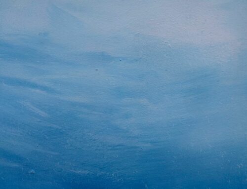 Les émotions dans l&rsquo;expérience client